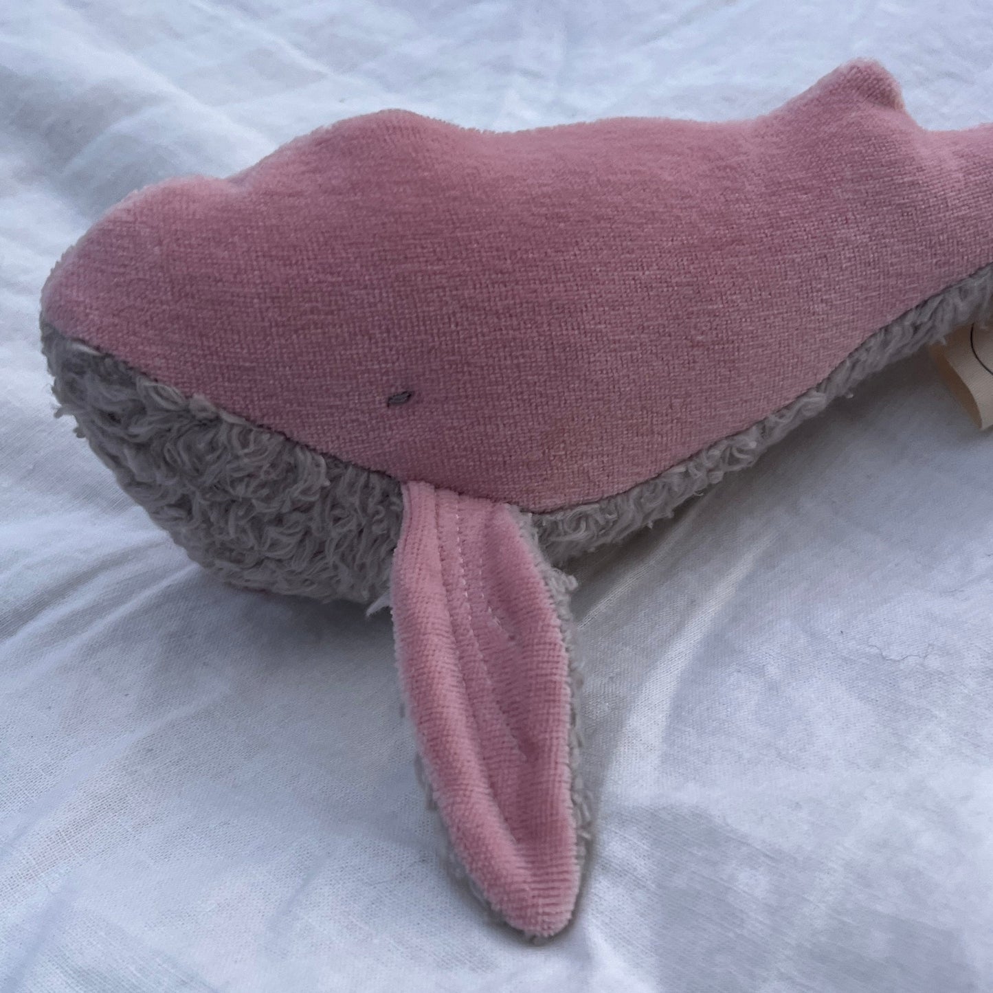 KUSCHELTIER, KLEINER WAL